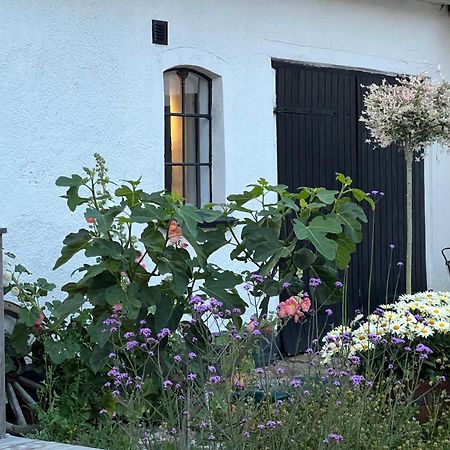 Backadal Gard Bnb Ystad Bagian luar foto