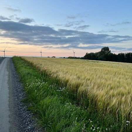 Backadal Gard Bnb Ystad Bagian luar foto