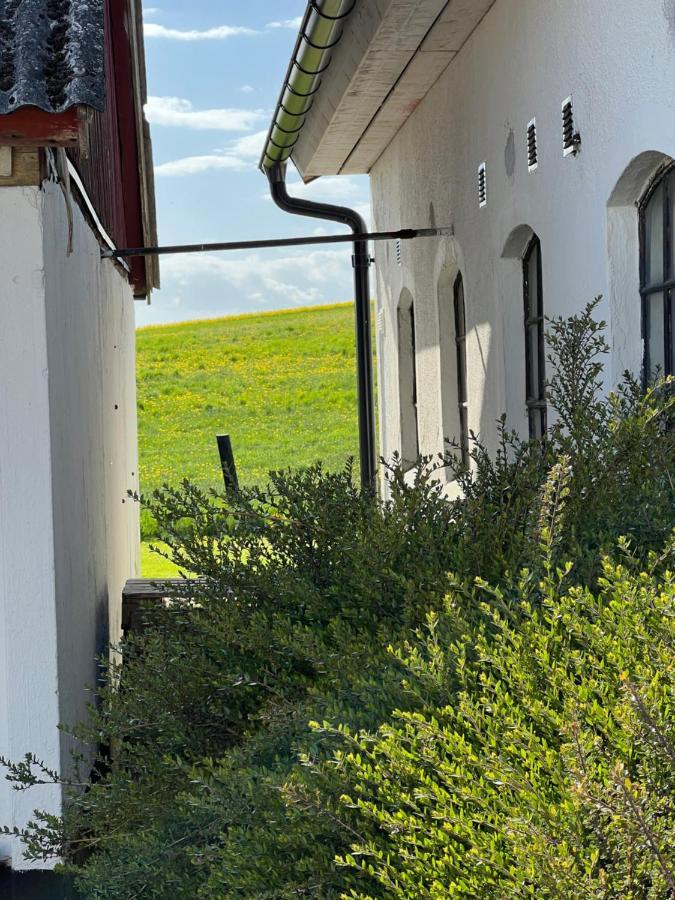 Backadal Gard Bnb Ystad Bagian luar foto