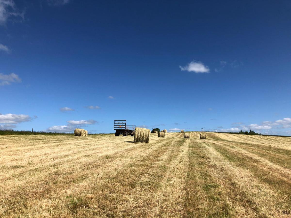 Backadal Gard Bnb Ystad Bagian luar foto