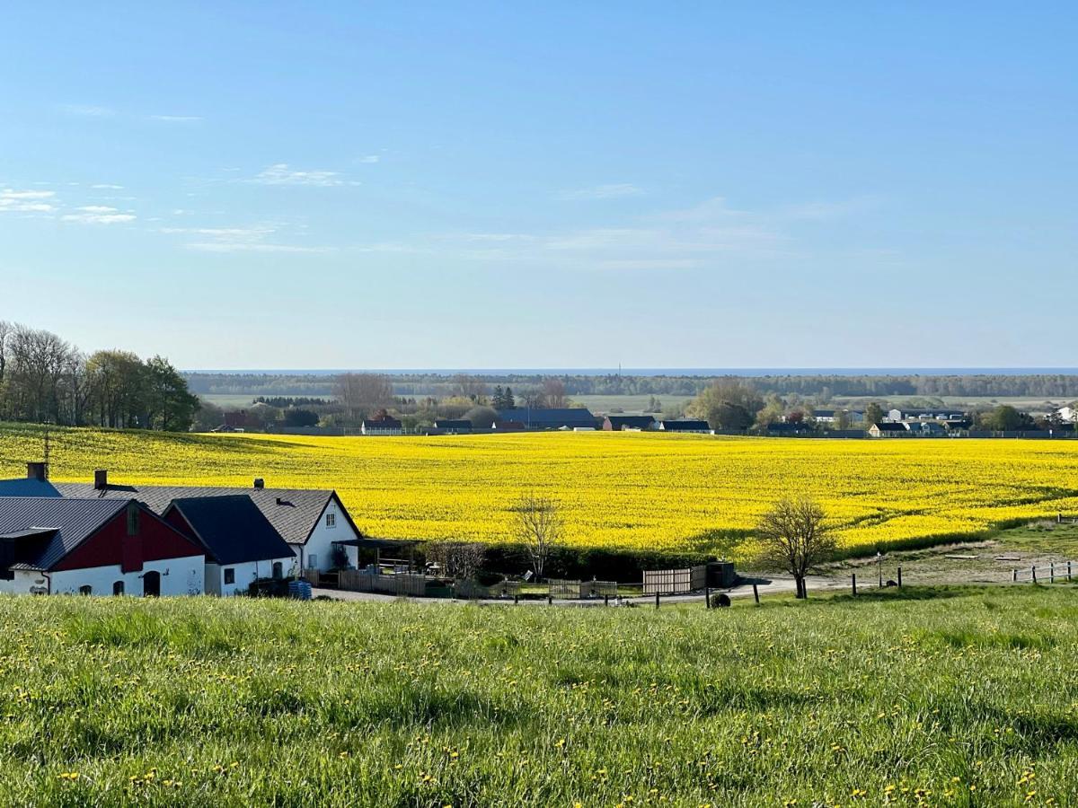 Backadal Gard Bnb Ystad Bagian luar foto