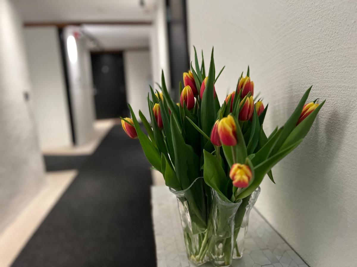 Backadal Gard Bnb Ystad Bagian luar foto