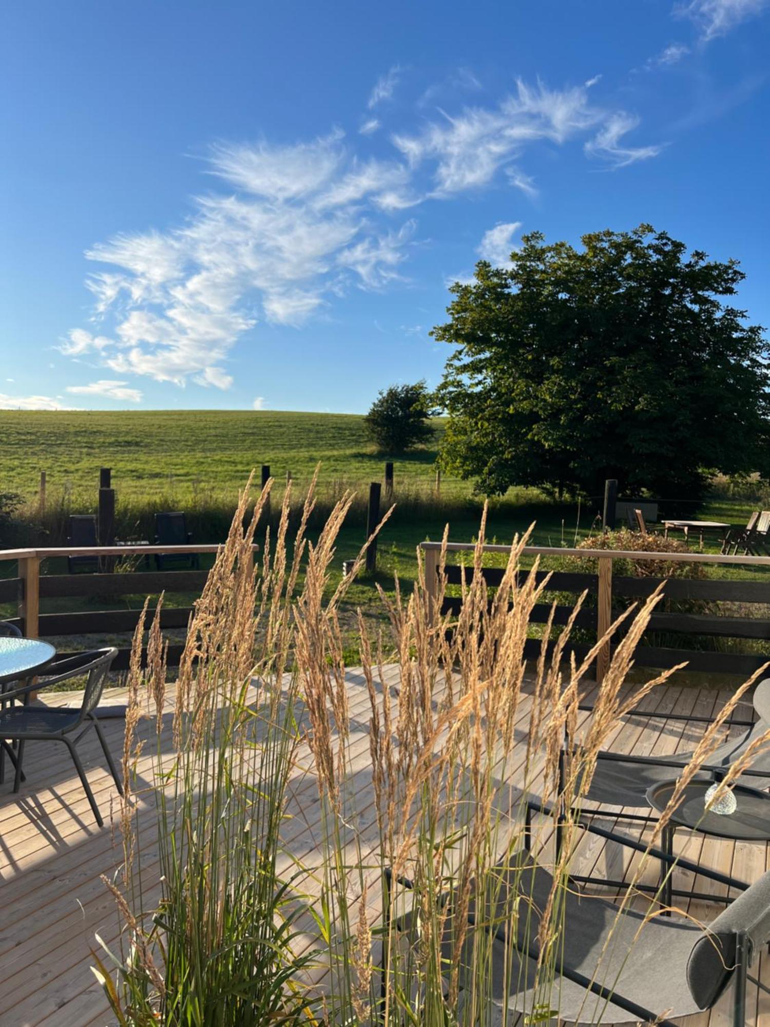 Backadal Gard Bnb Ystad Bagian luar foto