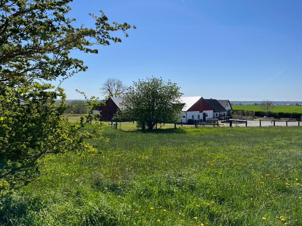 Backadal Gard Bnb Ystad Bagian luar foto