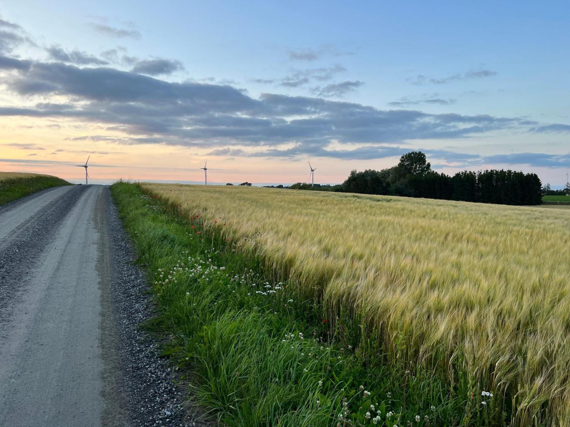 Backadal Gard Bnb Ystad Bagian luar foto