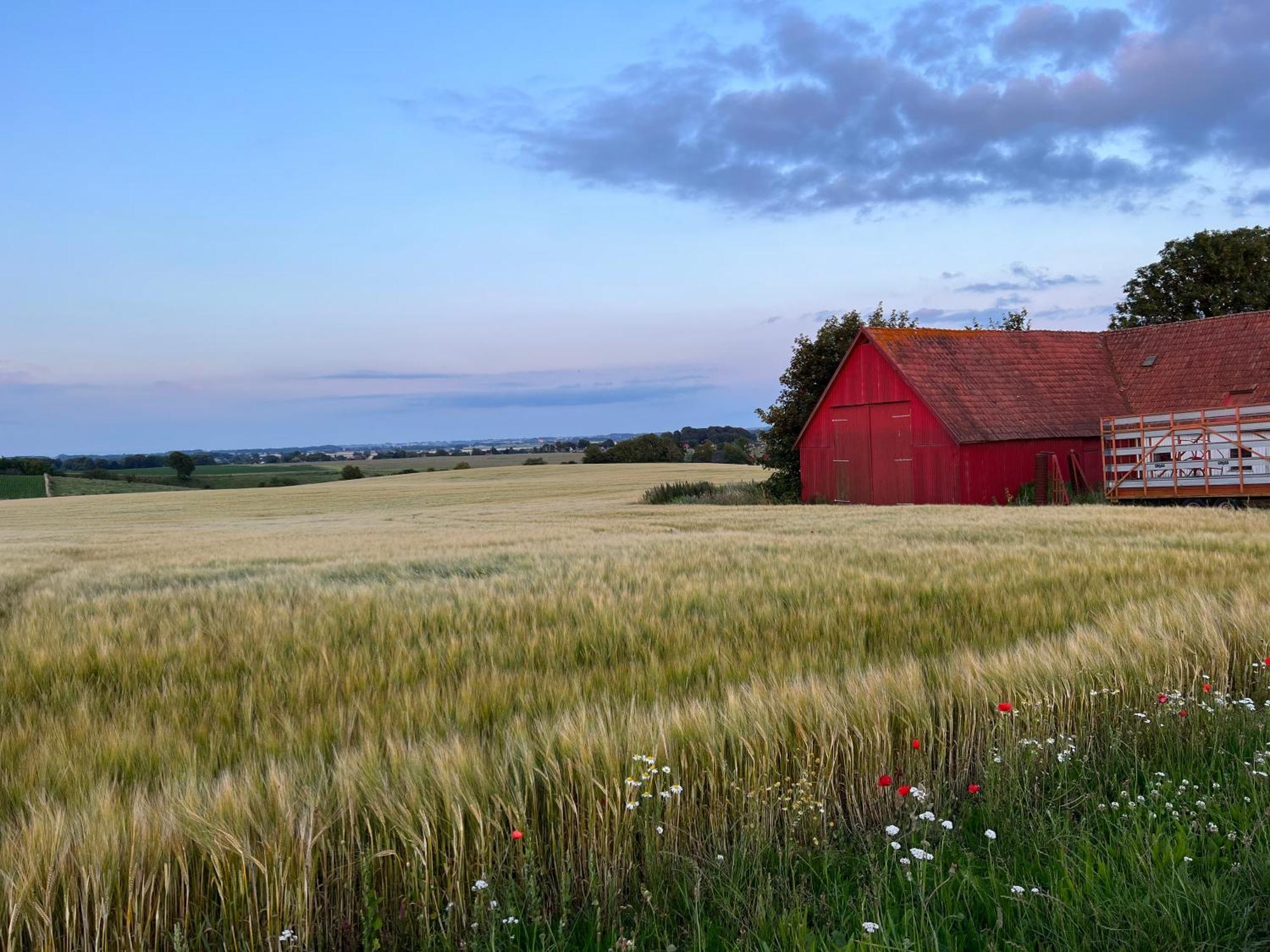 Backadal Gard Bnb Ystad Bagian luar foto